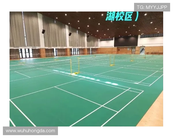 南京羽毛球队防守表现分析与改进建议探讨